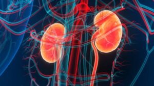 Symptoms, Causes, Treatment, and Risks of Kidney Disease