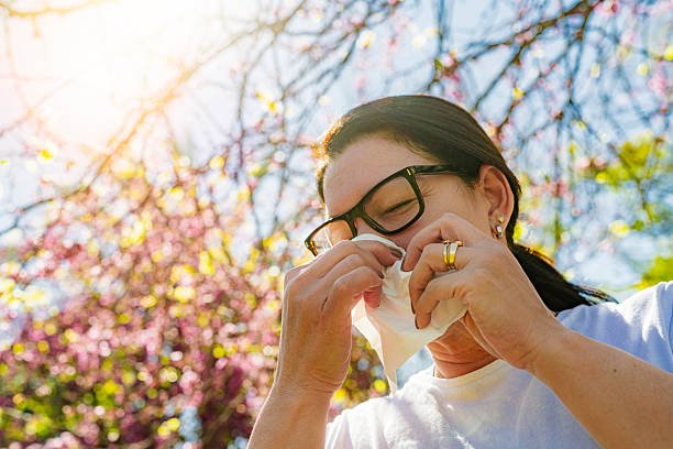 Allergy Symptoms: Potential Triggers Explained